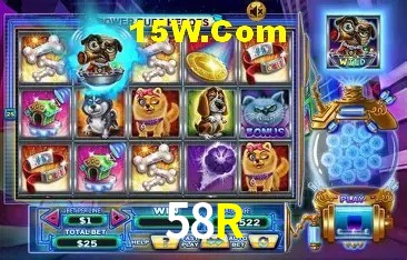 Flash Promotion 58R